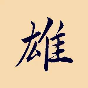雄