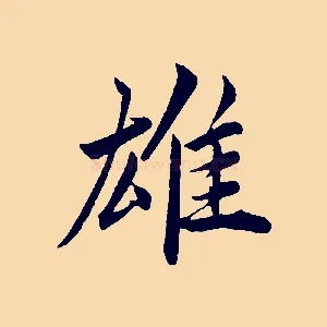 雄