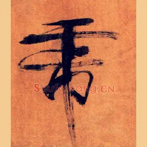 虎