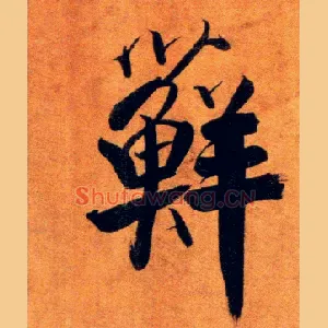 藓