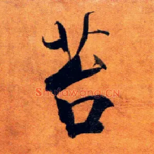 苔