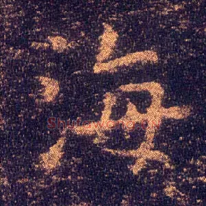 海