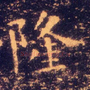 隆