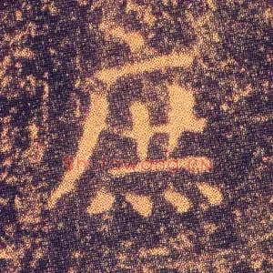 庶