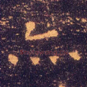亦