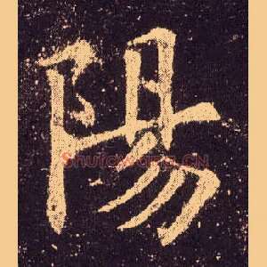 陽