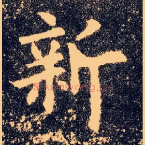 新