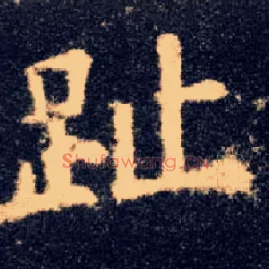 趾