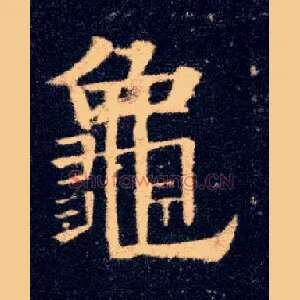 龟