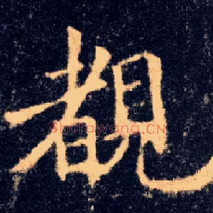 睹