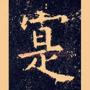 寔