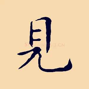 見