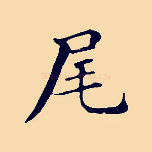 尾
