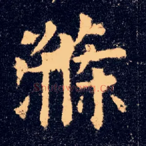 涤