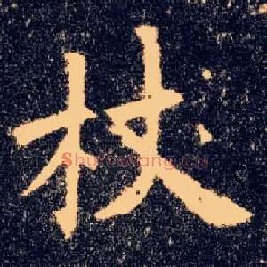 杖
