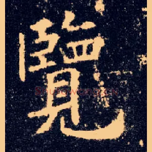 览