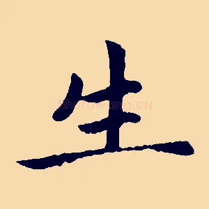 生