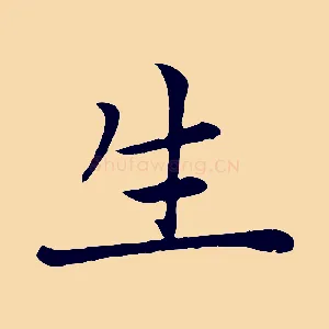 生