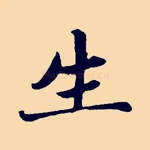 生