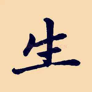 生