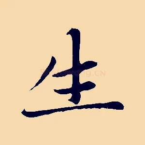 生
