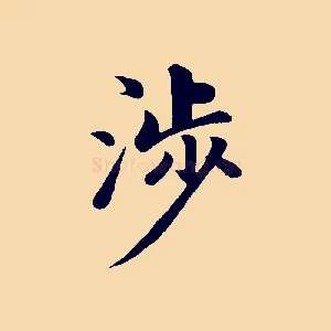 涉