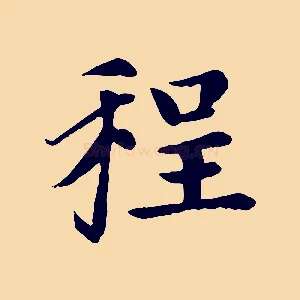 程