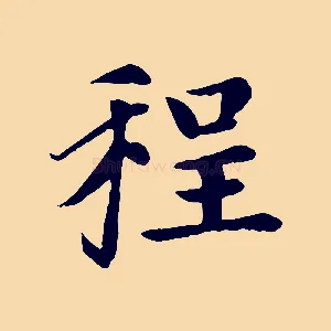 程