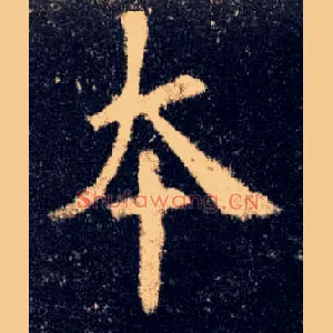 本