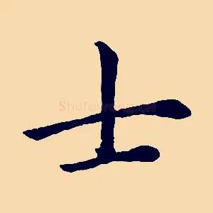 士