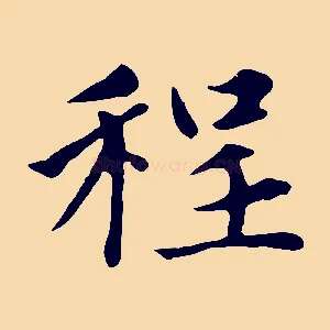 程
