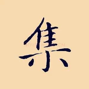 集