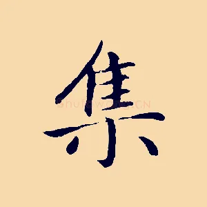 集