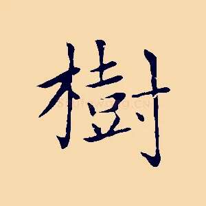 樹