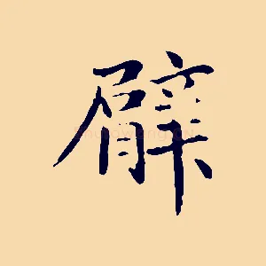 臂