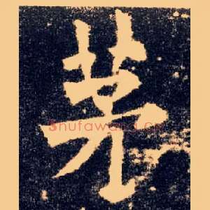 茅