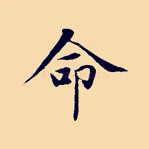 命
