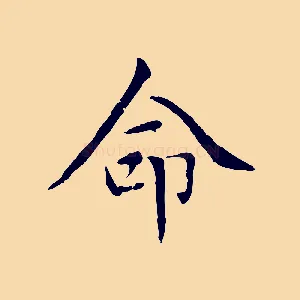 命