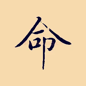 命