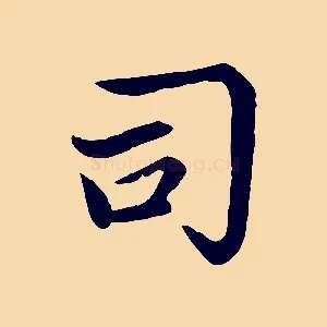 司