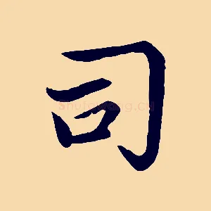 司