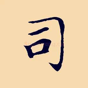 司