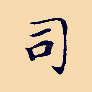 司