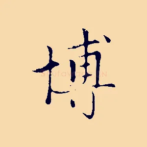 博