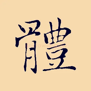體