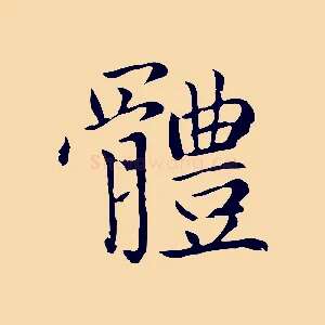 體