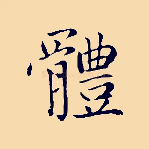 體