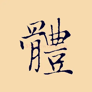 體