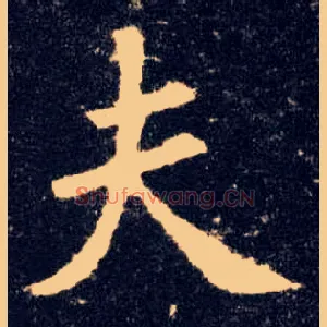 夫