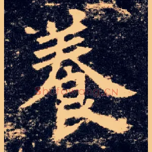 養
